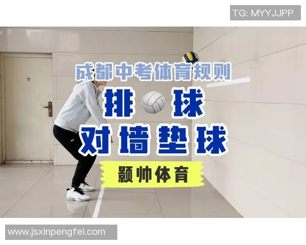 成都排球队个人能力分析与发展策略探讨