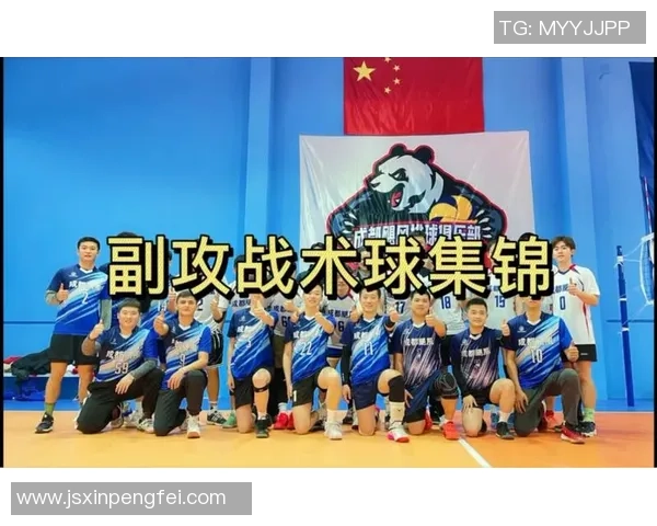 武汉排球队进攻体系解析与战术创新探讨